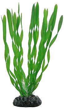 Plastväxt Vallisneria Hobby
