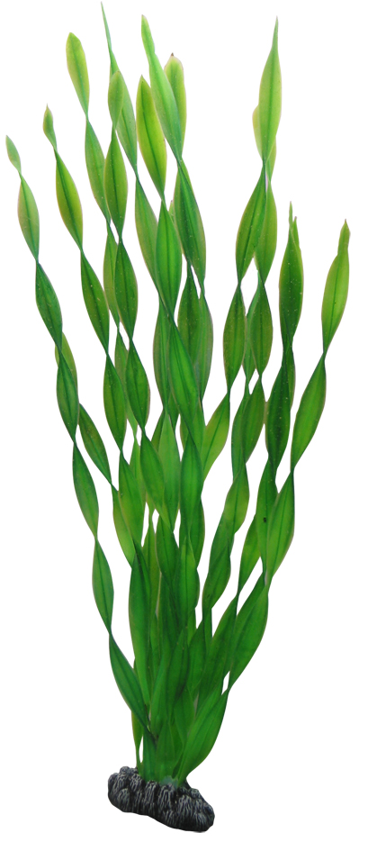 Plastväxt Vallisneria Hobby
