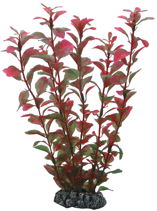 Plastväxt Ludwigia Hobby