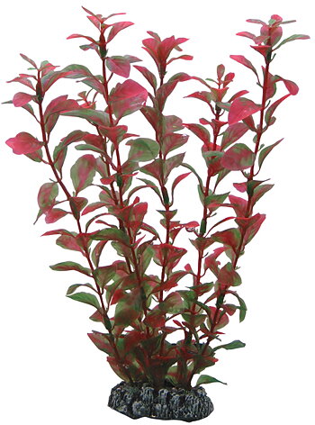 Plastväxt Ludwigia Hobby