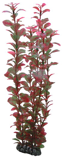 Plastväxt Ludwigia Hobby
