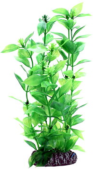 Plastväxt Hygrophila Hobby