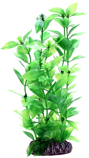 Plastväxt Hygrophila Hobby