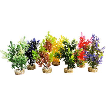 Plastväxt Nano Fiesta Sydeco