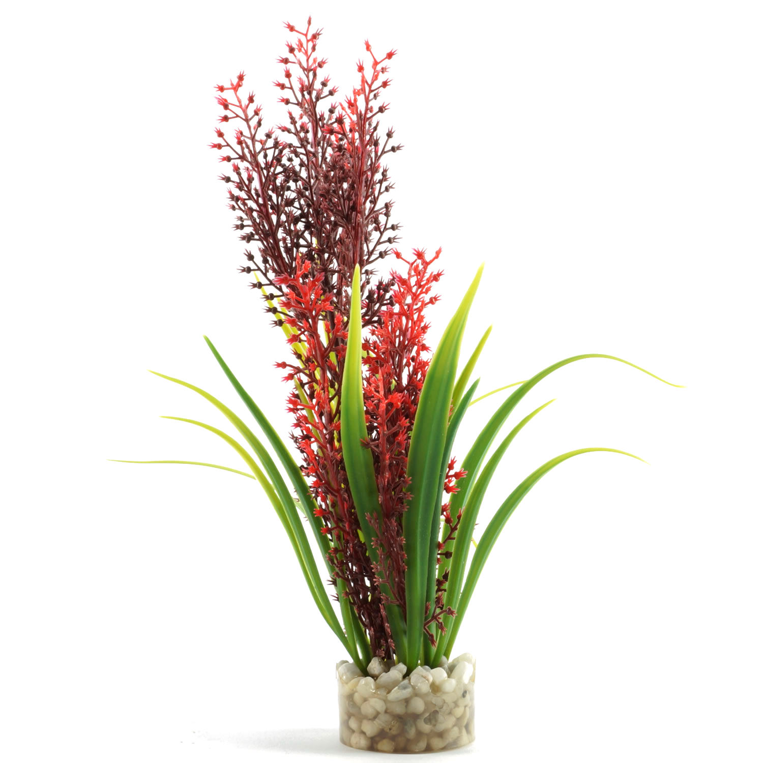 Plastväxt Tropica Sydeco