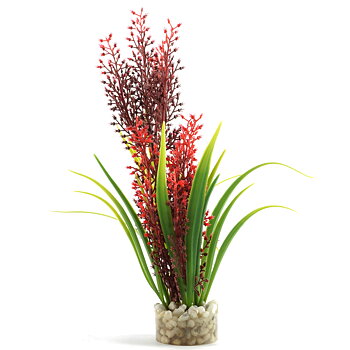Plastväxt Tropica Sydeco