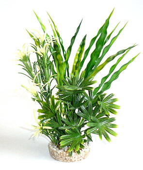 Plastväxt Fiesta Aqua Bush Sydeco
