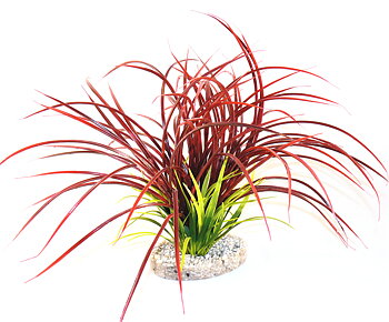 Plastväxt Fan Grass Sydeco