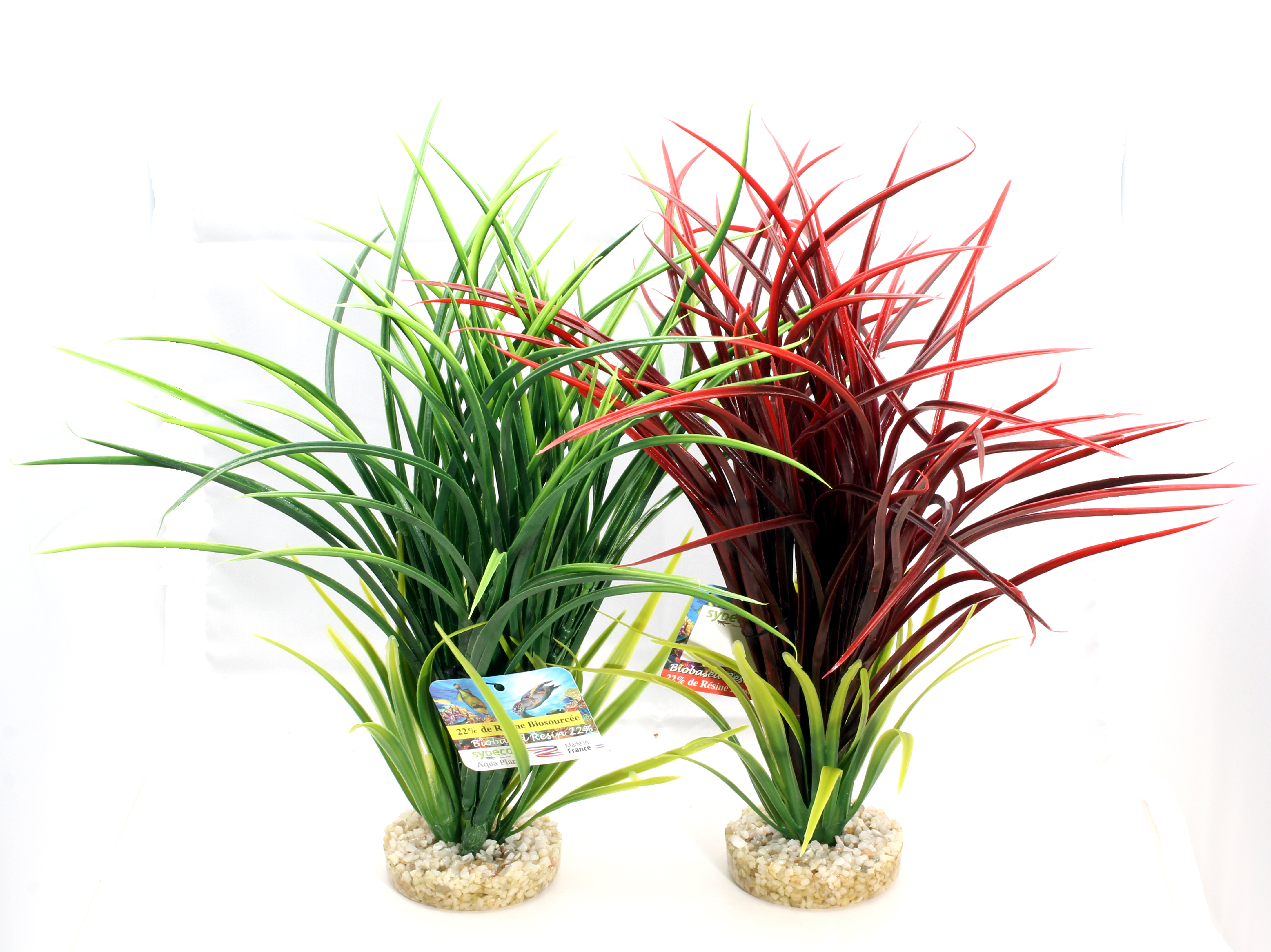 Plastväxt Bioaqua Acorus Sydeco