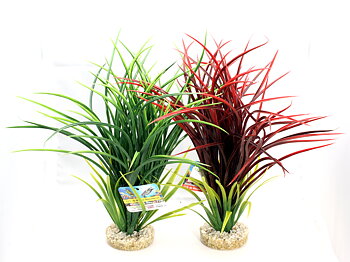 Plastväxt Bioaqua Acorus Sydeco