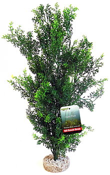 Plastväxt Bioaqua Giant Bush Mix Sydeco
