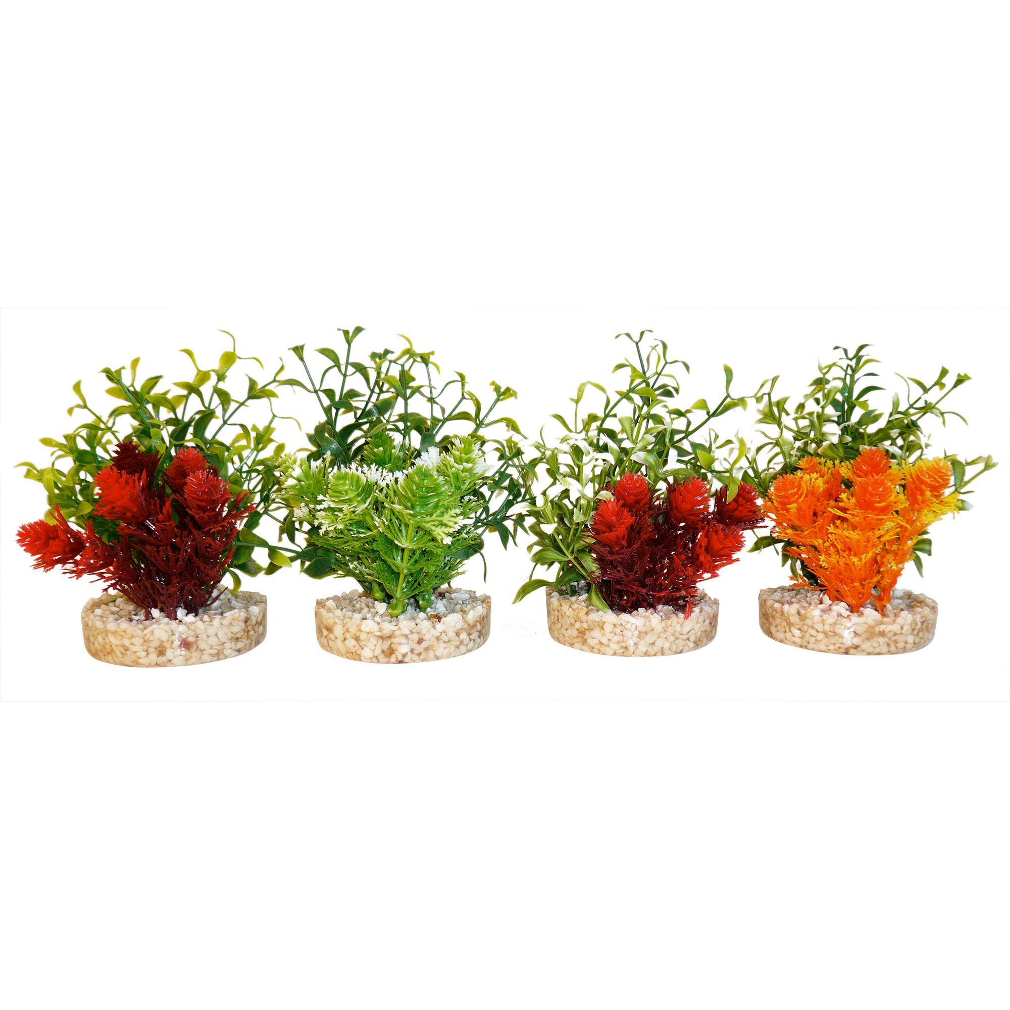 Plastväxt Magic Nano Garden Sydeco