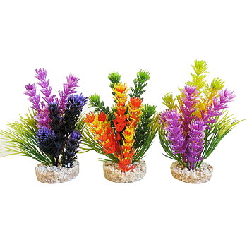 Plastväxt Magic Fiesta colours Sydeco