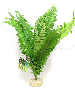Plastväxt Fougere Vivarium Sydeco