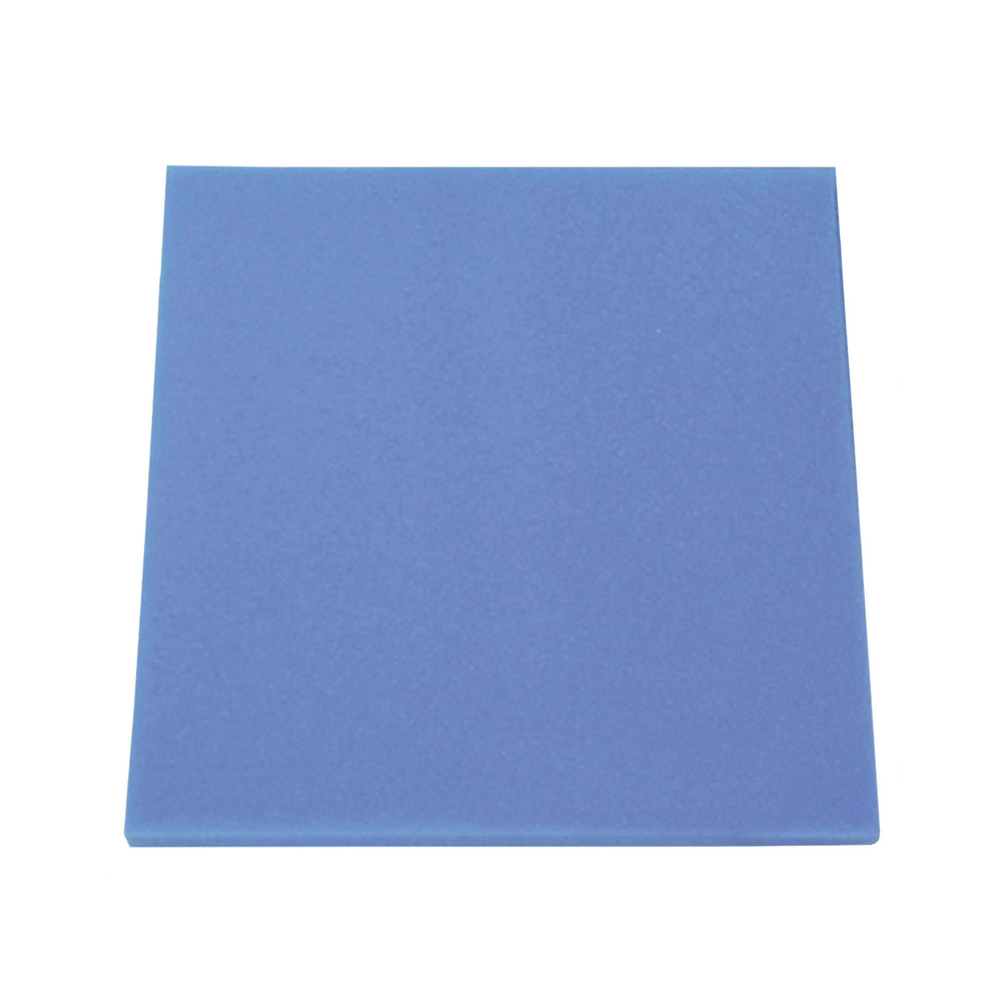 Filterblock/svamp Fin JBL