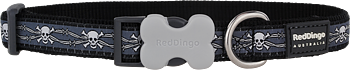  Hundhalsband Döskalle från Red Dingo