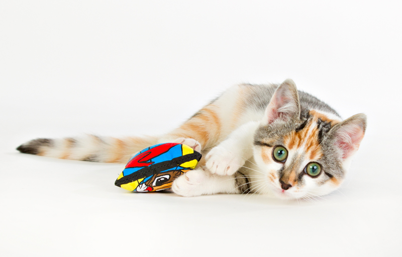 Kattmynta kudde från SmartCat - 15