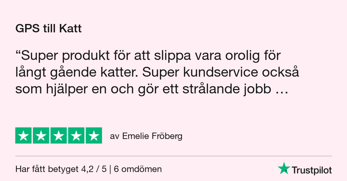 GPS 4G till katt och hund utan dyra abonnemang - 8
