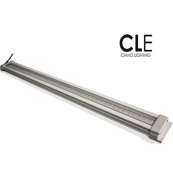 LED CLE80+ Trafo Vit Ciano