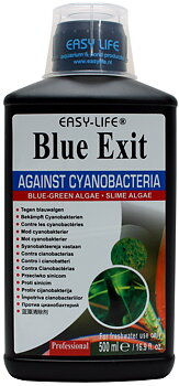 Easylife Blue Exit