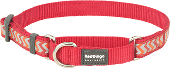 Hundhalsband Halvstryp Reflex Röd från Red Dingo
