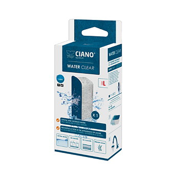 Water Clear Large Ciano