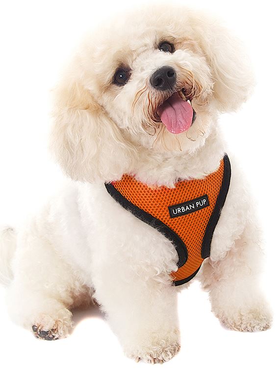 Softsele till Hund - Basic - 12