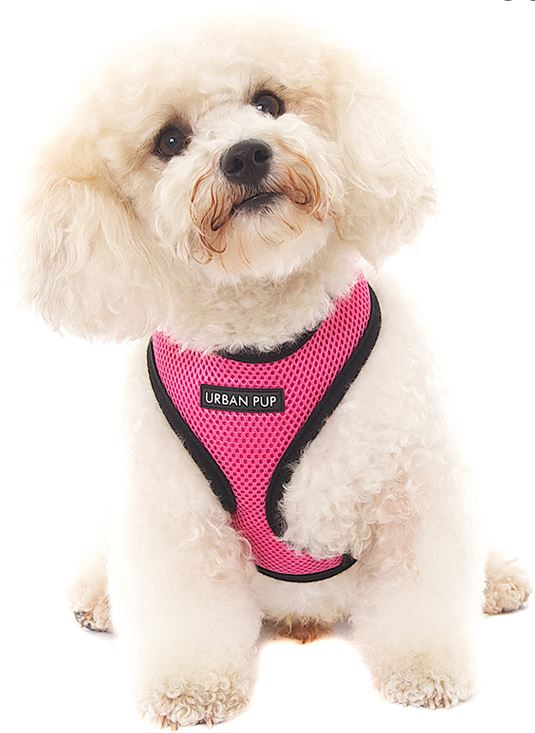 Softsele till Hund - Basic - 9