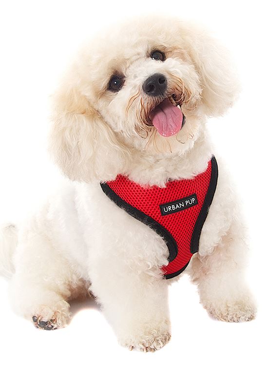 Softsele till Hund - Basic - 14