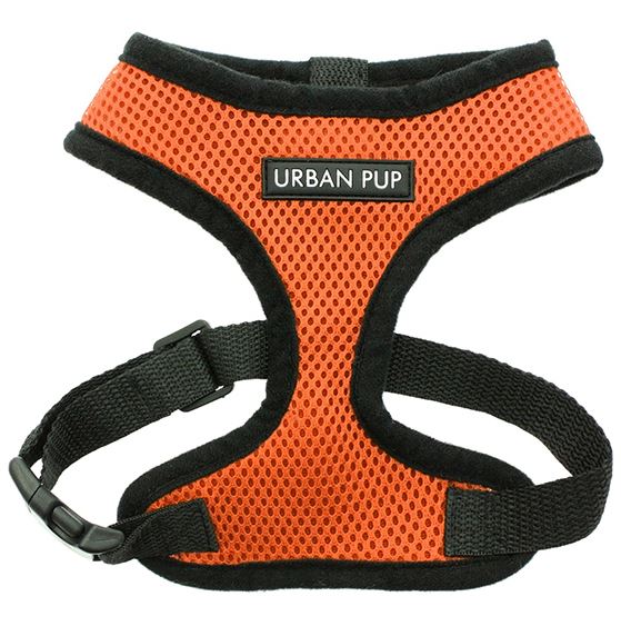 Softsele till Hund - Basic - 10
