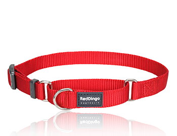 Hundhalsband Halvstryp Rött från Red Dingo
