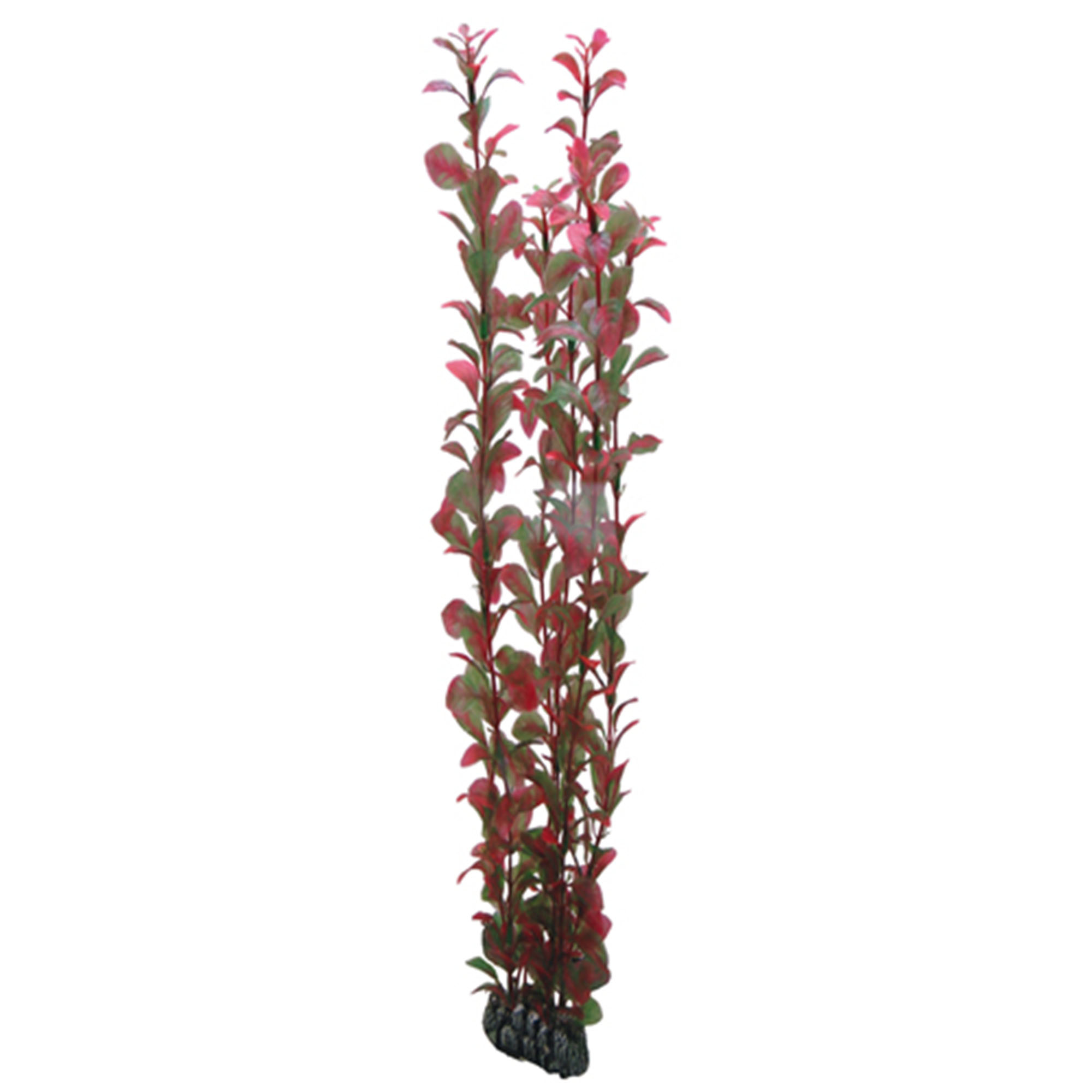 Plastväxt Ludwigia Hobby