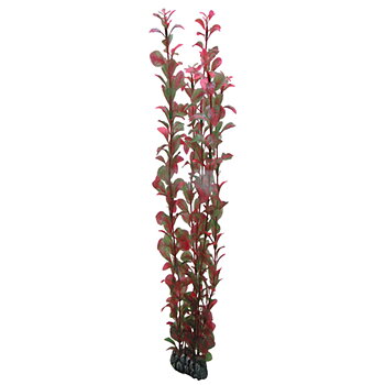 Plastväxt Ludwigia Hobby