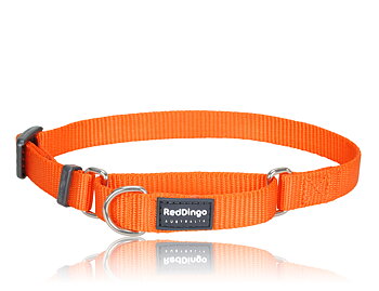 Hundhalsband Halvstryp Orange från Red Dingo