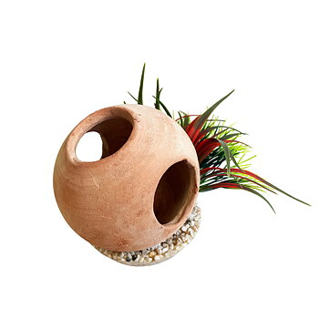 Plastväxt Diver Helmet Plants Sydeco