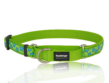 Hundhalsband Halvstryp Lime med turkos stjätnor från Red Dingo