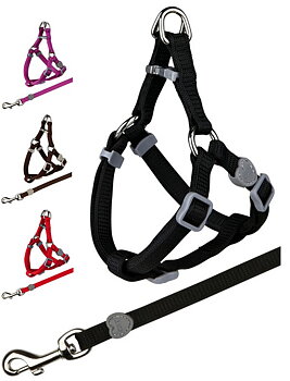 Kattsele med koppel premium nylon ställbar 26-37 cm 