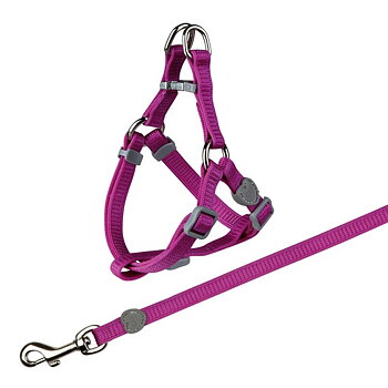 Kattsele med koppel premium nylon ställbar 26-37 cm 