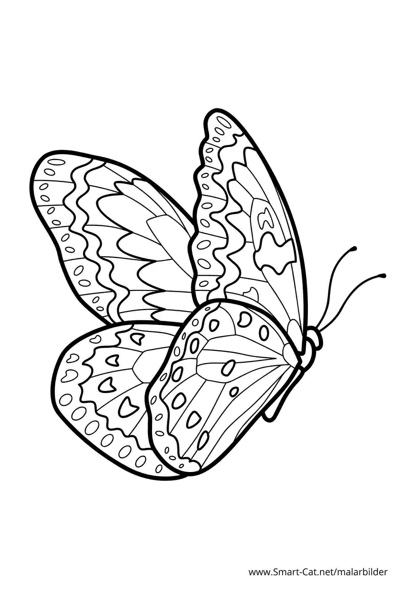 Målarbild Fjäril