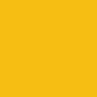 Supracolor 8 ml - 509 Gul