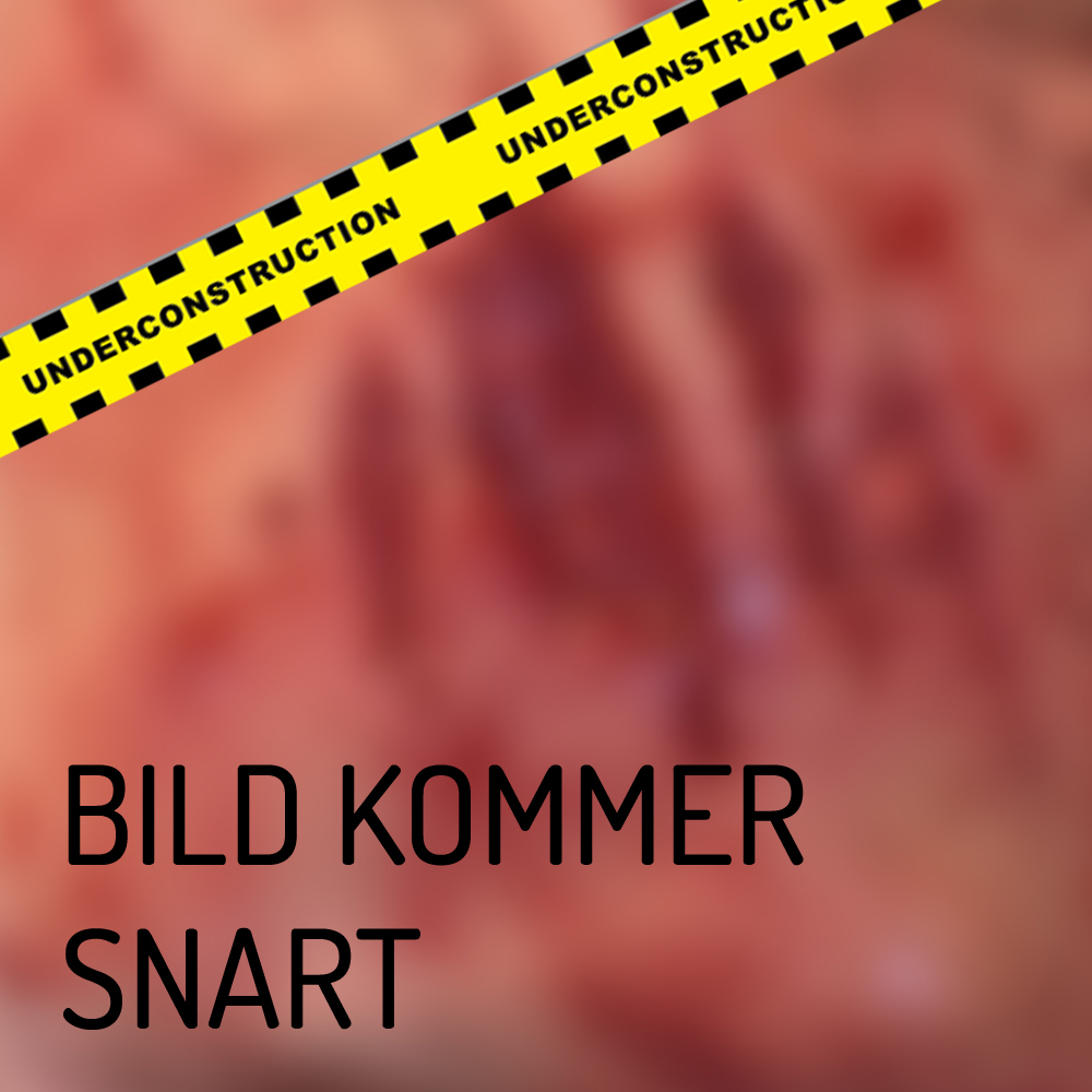 Flatmould Form 026 - Stab Wound&nbsp; - 3