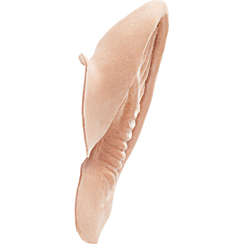Latex Ears Gutter Elf (1 par) - Kryolan - 2