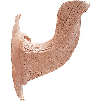Latex Horns Satyr (1 par) - Kryolan