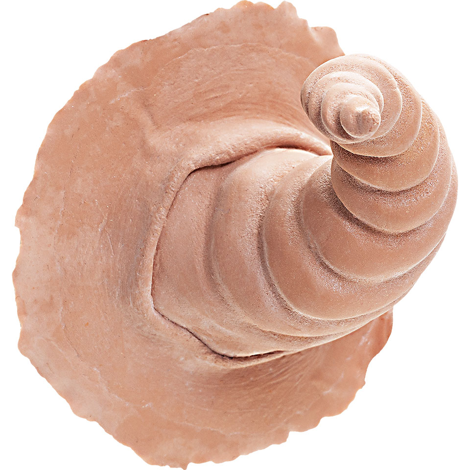 Latex Horns Sylph (1 par) - Kryolan - 2