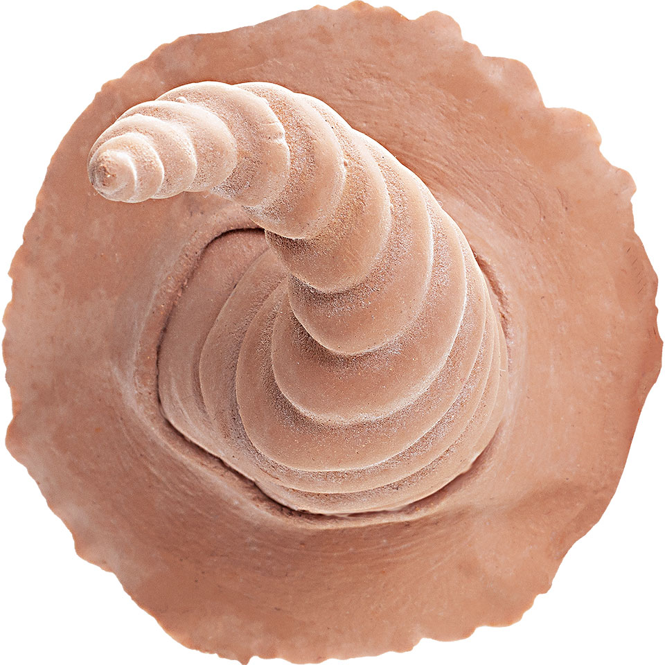 Latex Horns Sylph (1 par) - Kryolan - 3