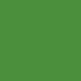 Supracolor 8 ml - Green42 Klargrön