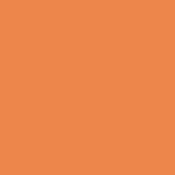 Supracolor 8 ml - 576 Light Peach