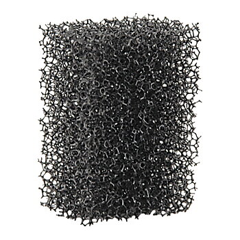 Finporig Skäggstubbs svamp - Stippel Sponge