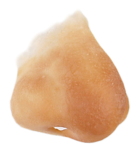 Grimas Latexnäsa nr:114 - Potatisnäsa