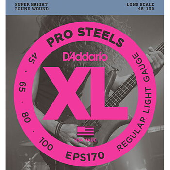 D'Addario EPS170 045-100